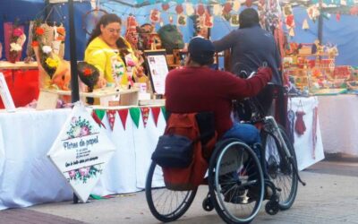 Los desafíos en Ñuble frente a la mayor tasa de discapacidad del país
